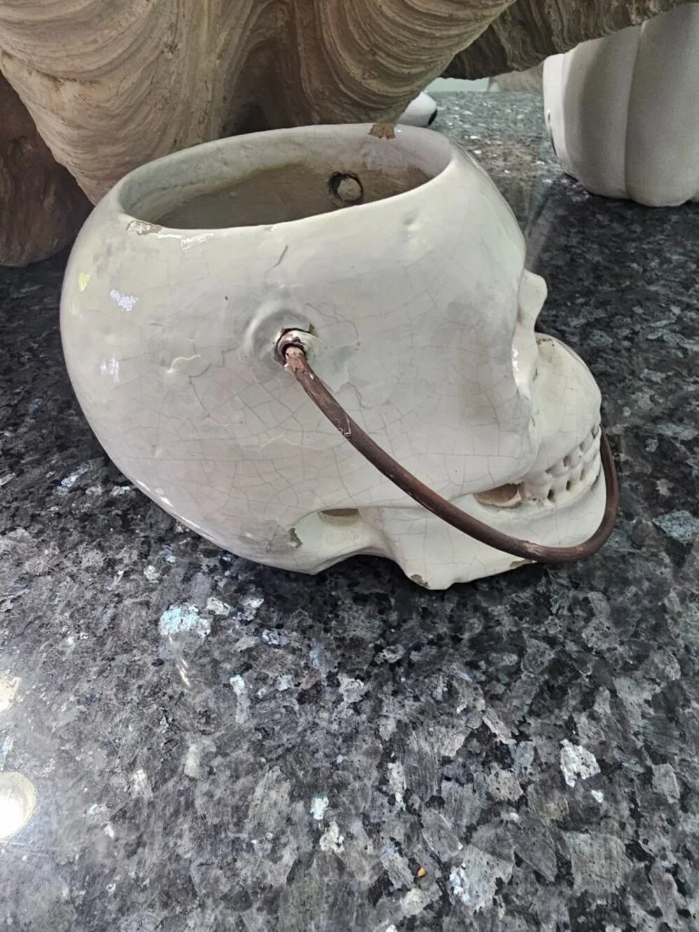 Pottery Barn Halloween Skull Lantern and Snake Vase Filler